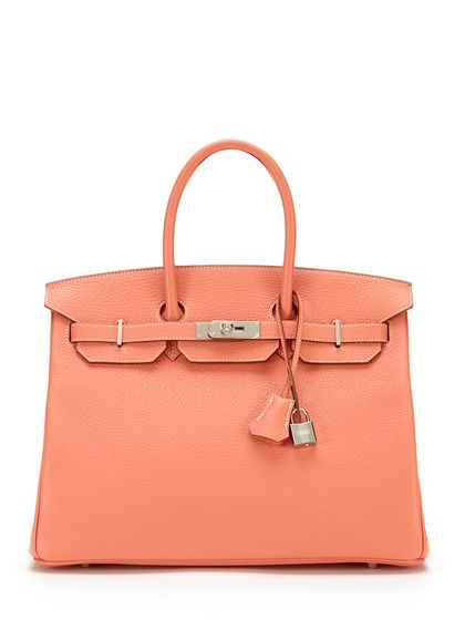 Behind the Birkin Bag