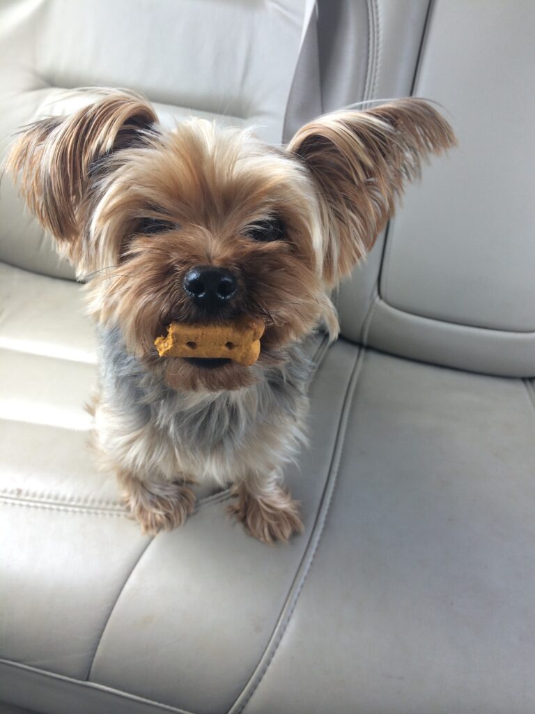 Julia Hummel - Bella