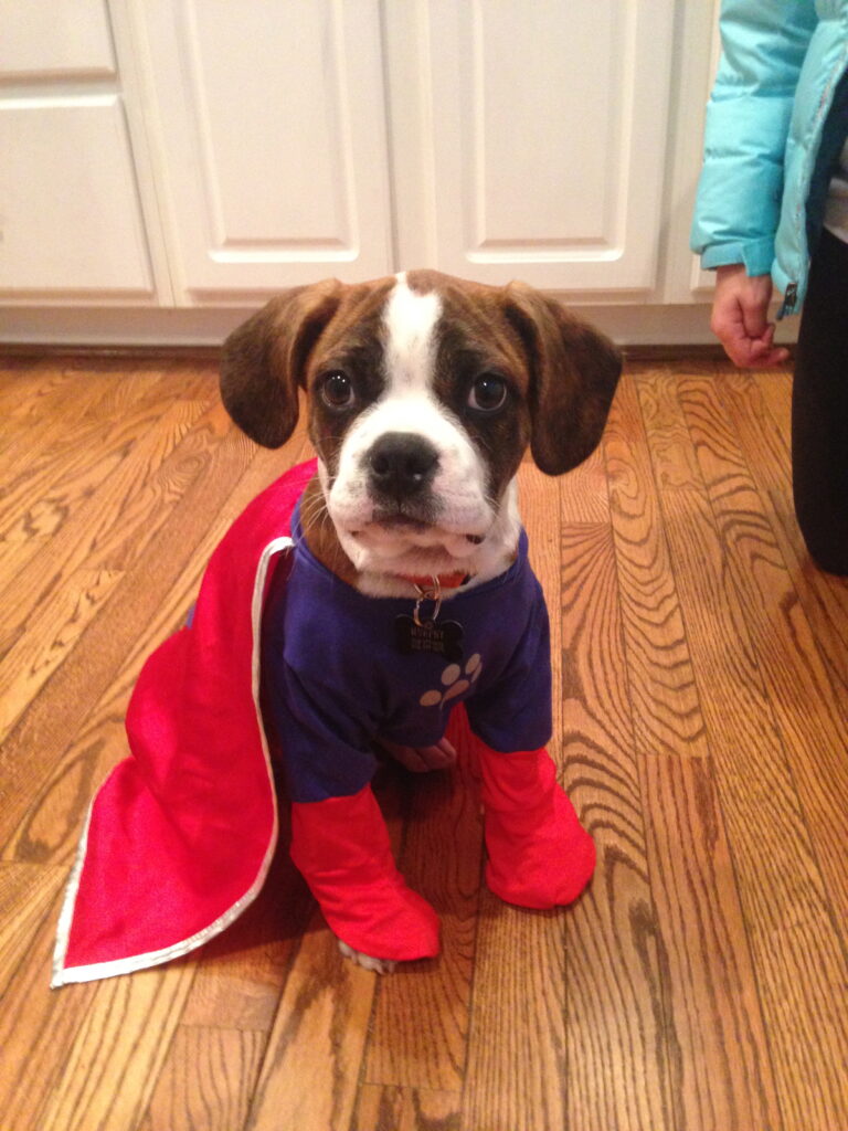 Kacie Iwasyk - Murphy