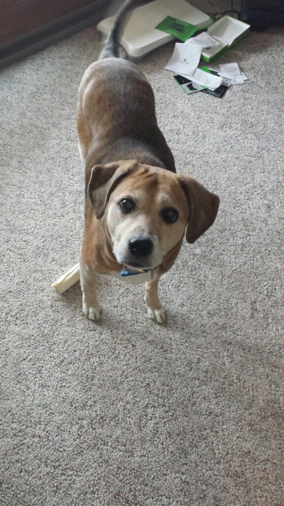 Samantha Strebel - Lucky