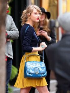 taylorpurse