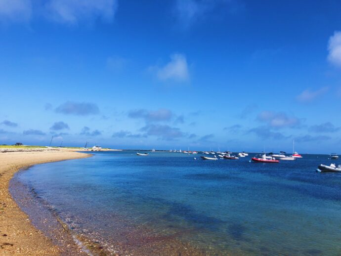 Processed with VSCO with f2 preset