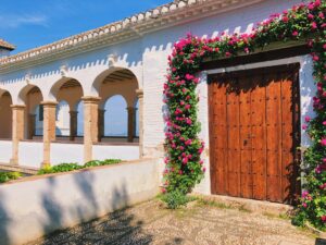 Processed with VSCO with c1 preset