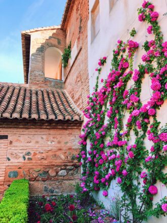 Processed with VSCO with c1 preset