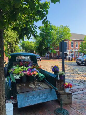 Processed with VSCO with f2 preset