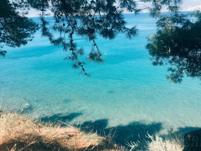 Processed with VSCO with e3 preset