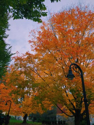 Processed with VSCO with c1 preset