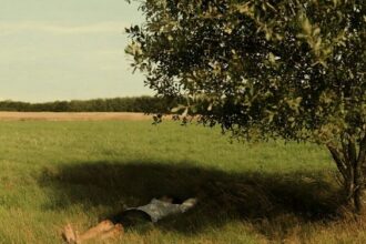 Photo from Pinterest.com