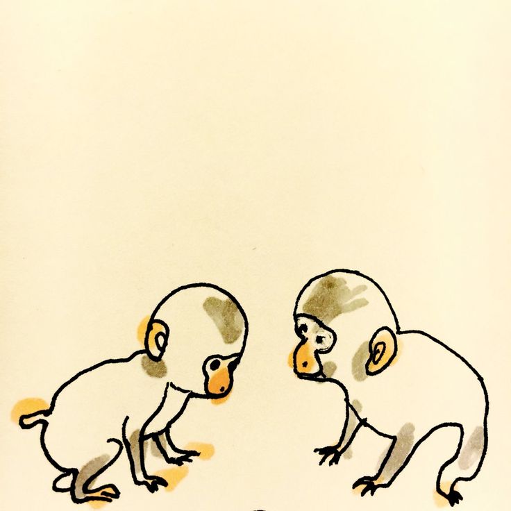 Graphic from Pinterest.com