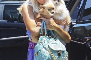 Photo from Pinterest.com