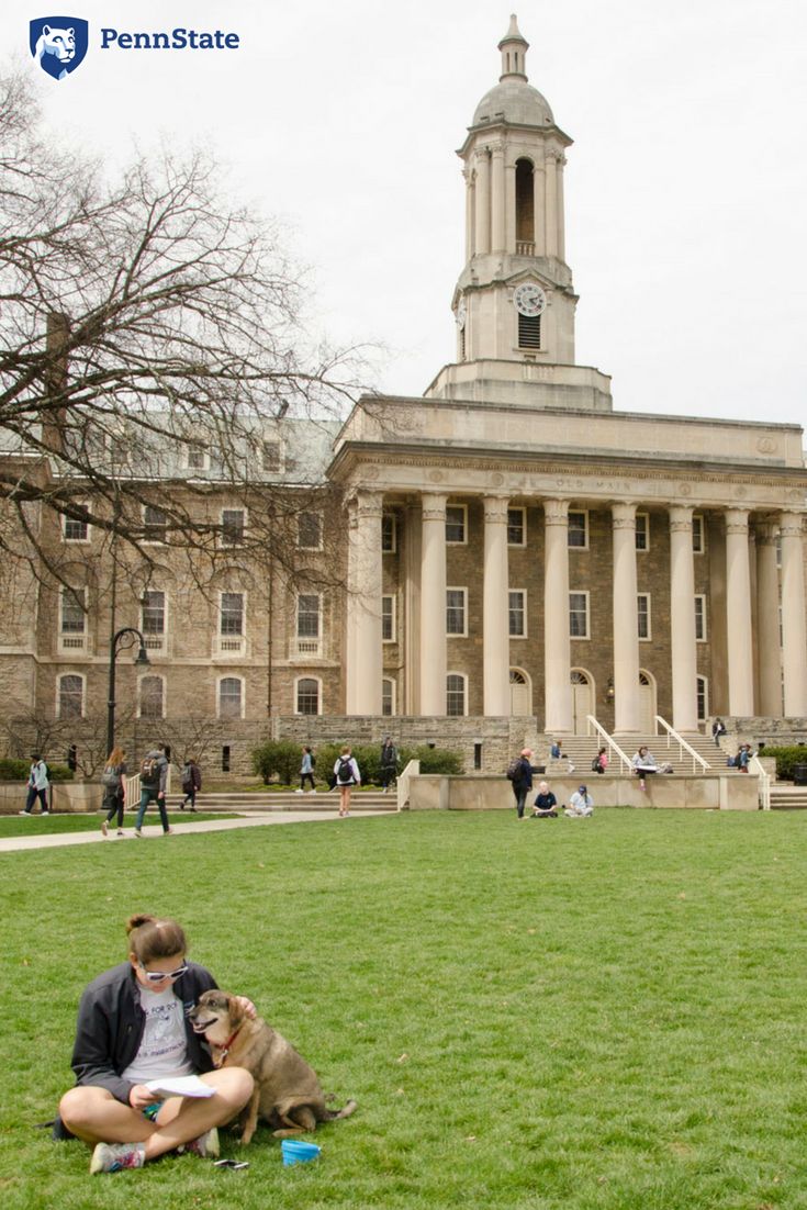 Image from Pinterest.com