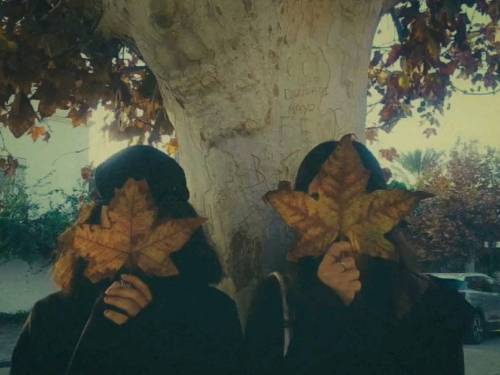 The Season of Theories