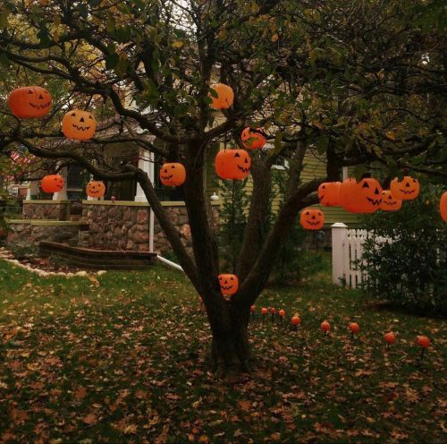 How To Be Sustainably Spooky