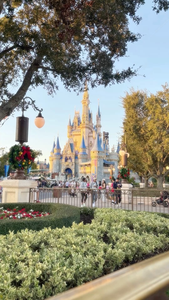 What Disney World Ride You’d Be Based On Your Major