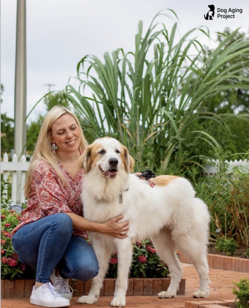 Dog Research Aims to Extend Human Lifespan