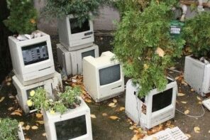 The Ultimate “Thought Daughter” Concept is Digital Gardening