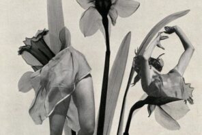 Sexual Assault Awareness Month: On the Social Plagues of Apathy and Blame